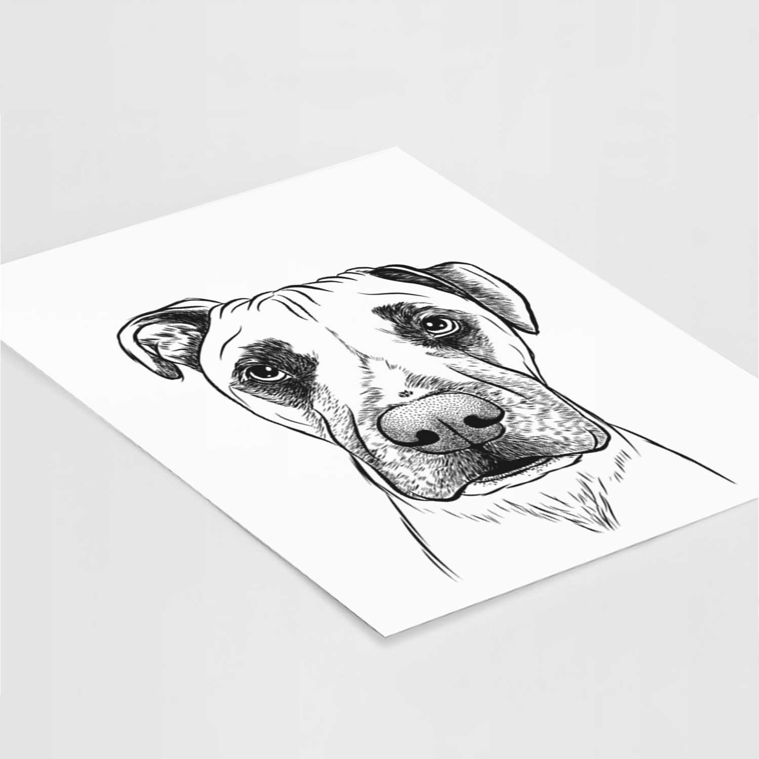 Waylon the Boxane Art Print