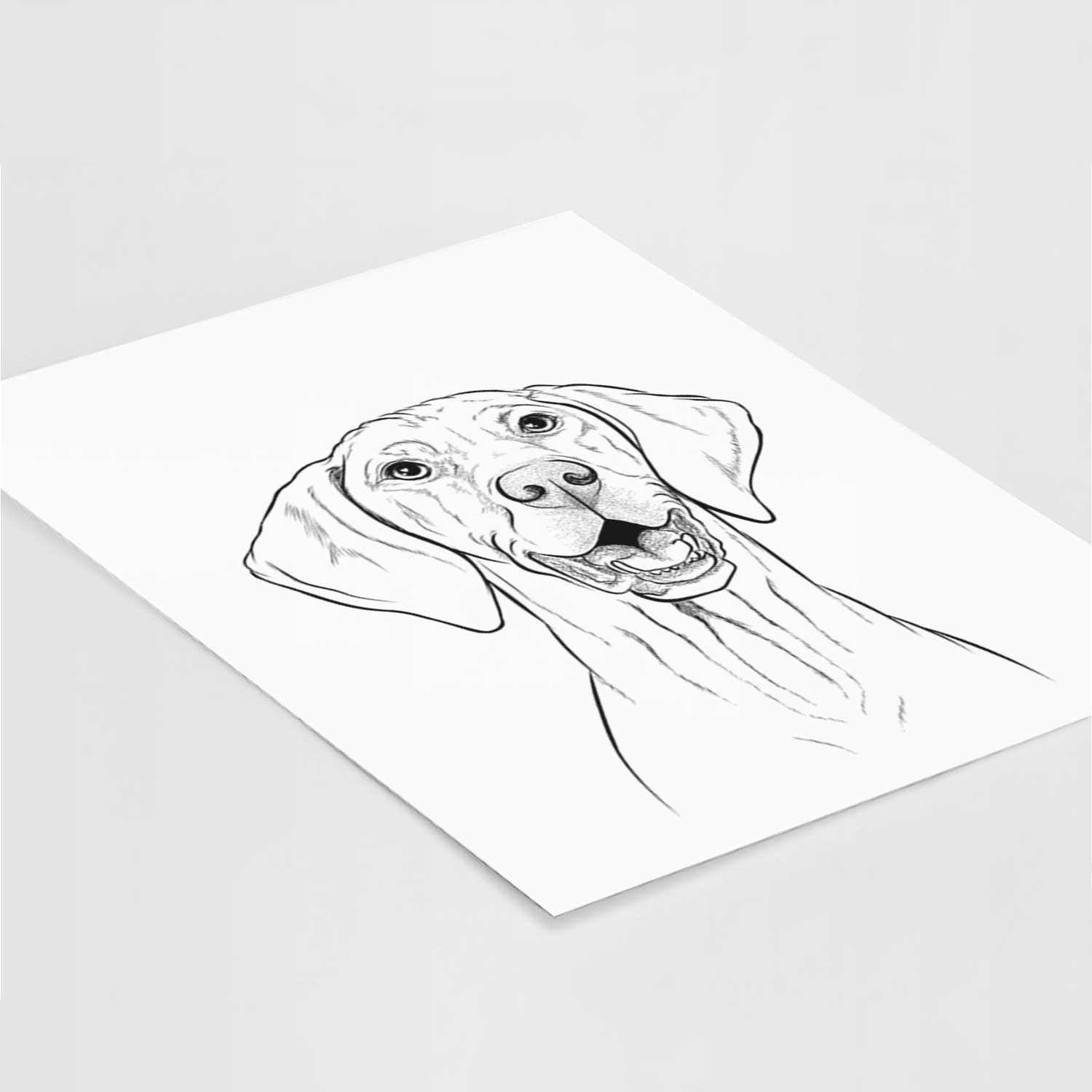 Wesley the Vizsla Art Print