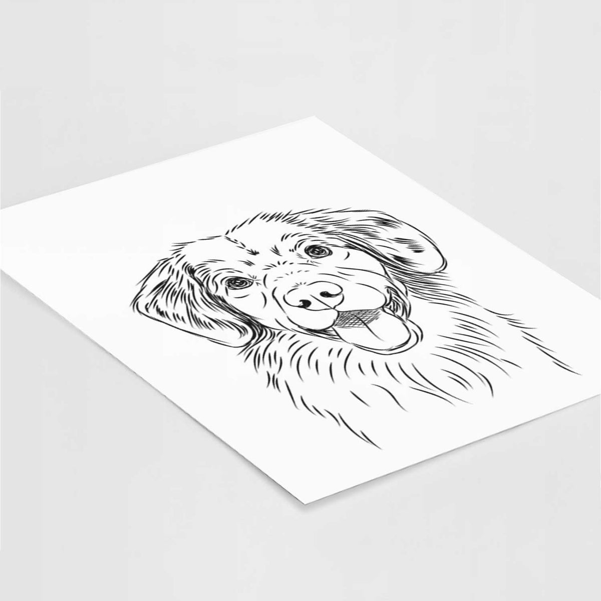 Weston the Nova Scotia Duck Tolling Retriever Art Print