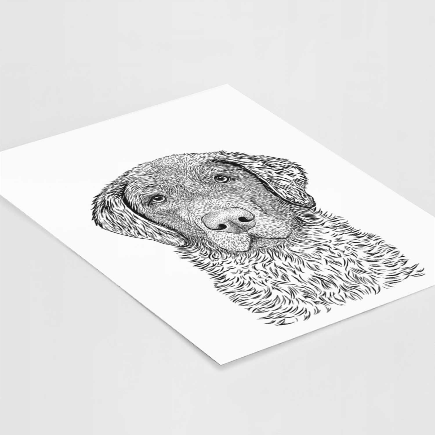 Whiskey the Chocolate Lab Art Print