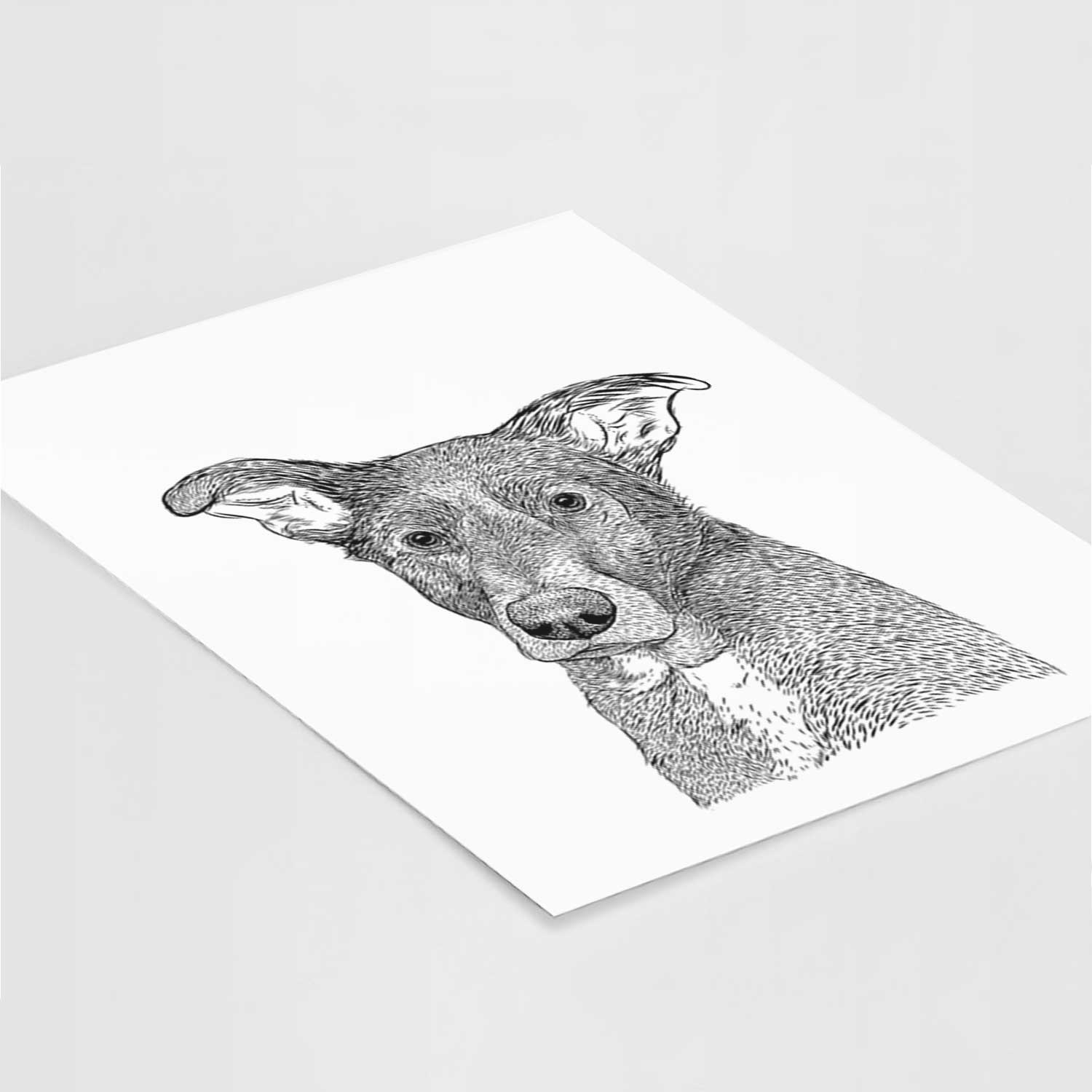 Wilbur the Shepherd Mix Art Print