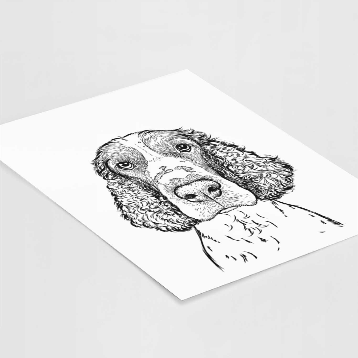 Wilbur the English Springer Spaniel Art Print