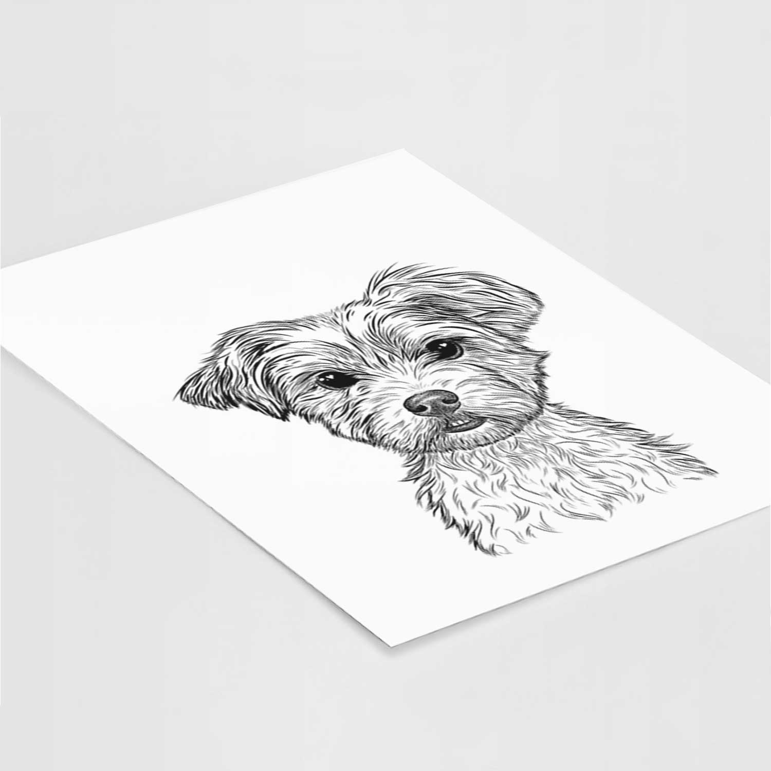 William Mitchell Newman the Yorkshire Terrier Art Print