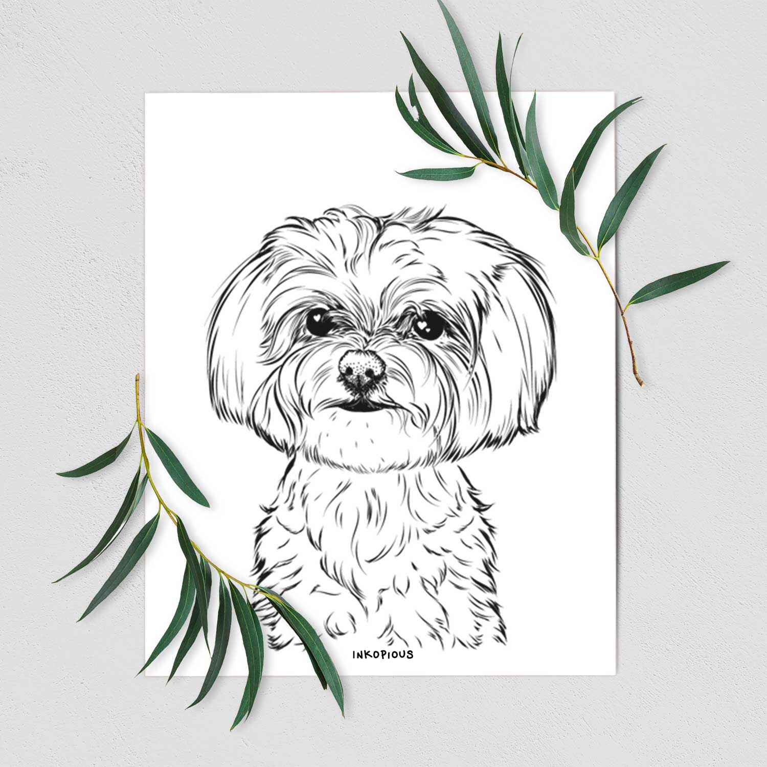 Willow the Maltese Art Print