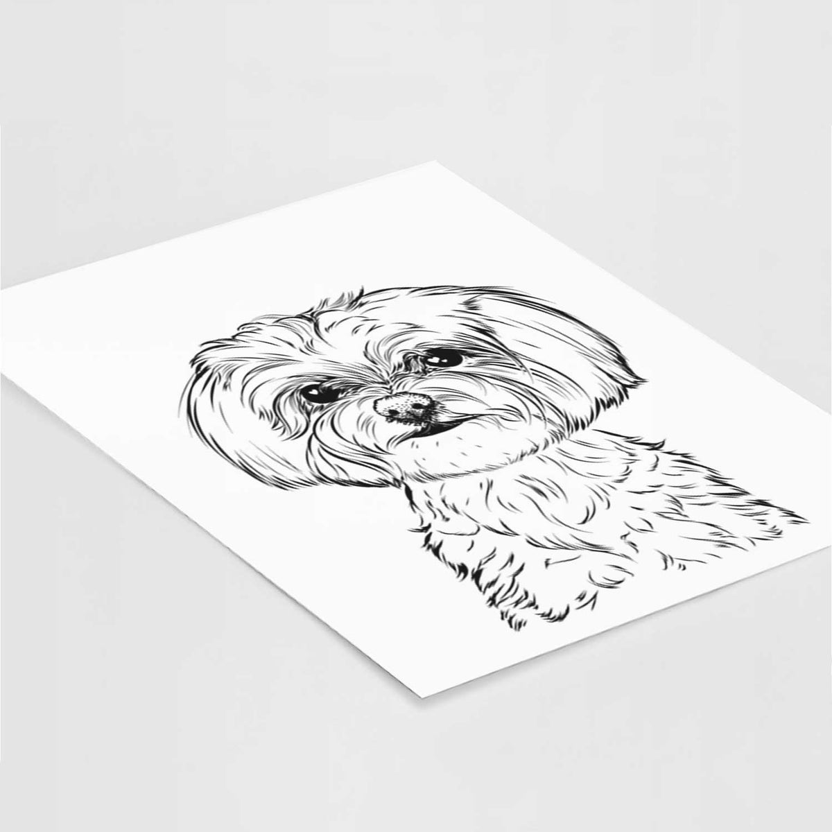 Willow the Maltese Art Print