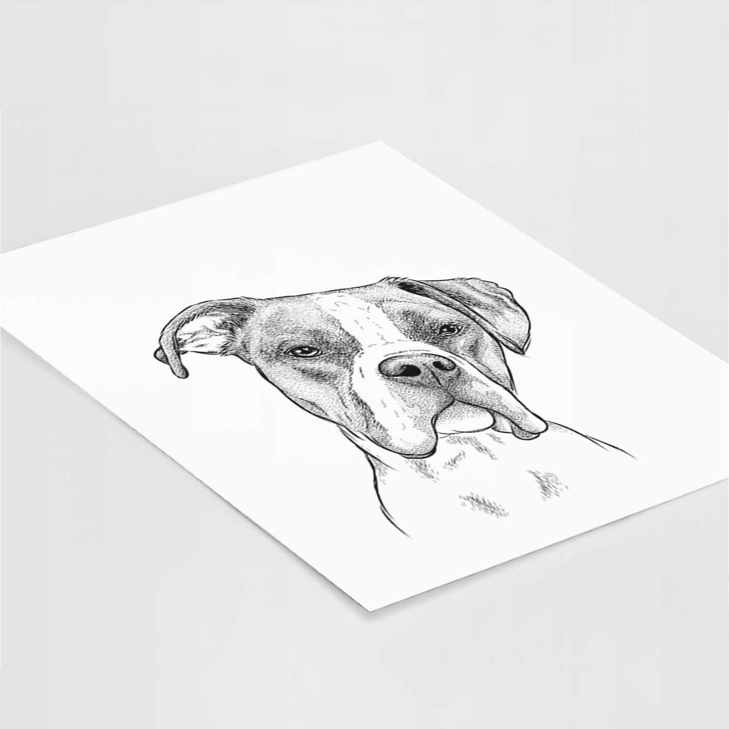 Winston the Boxer Art Print