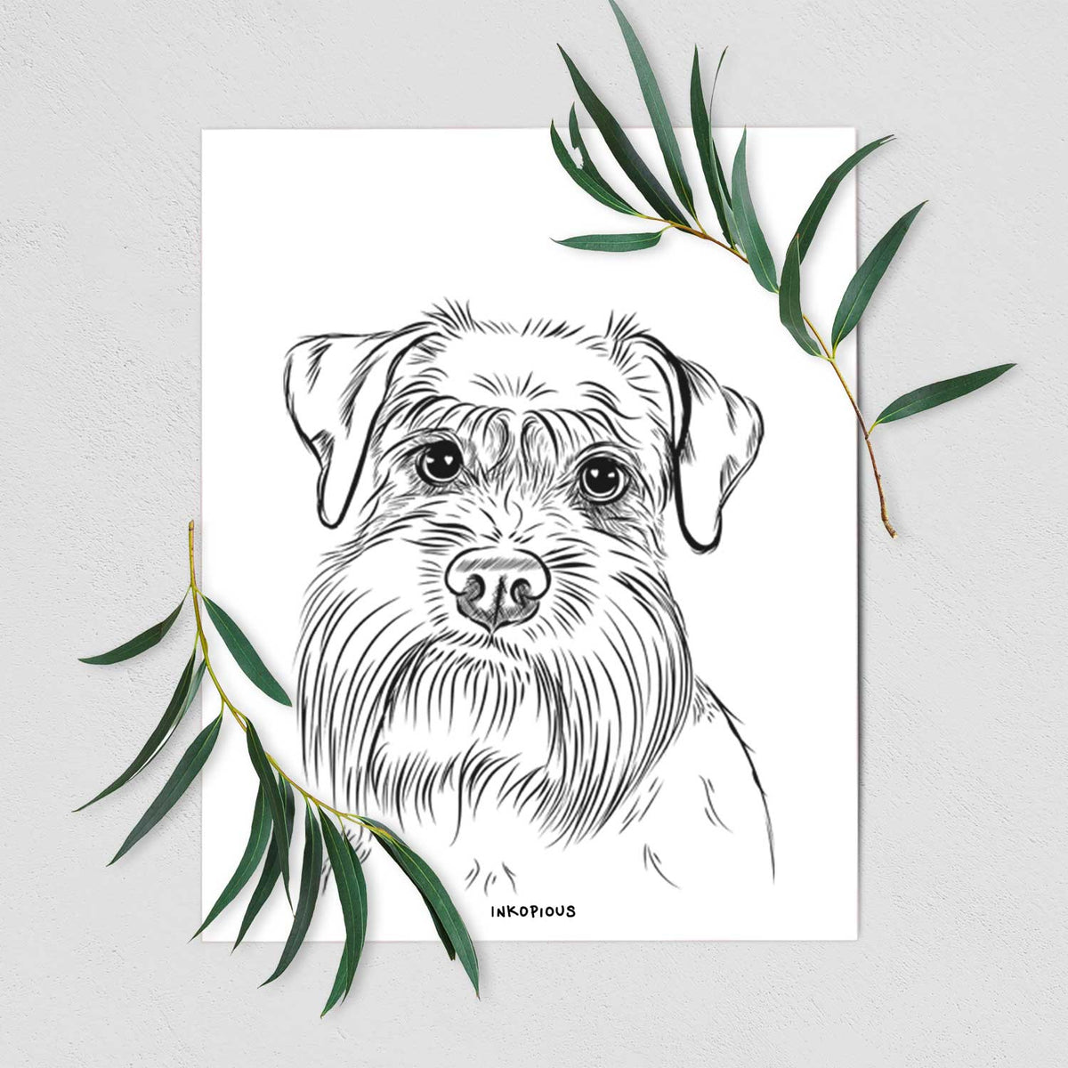 Wrigley the Schnauzer Art Print