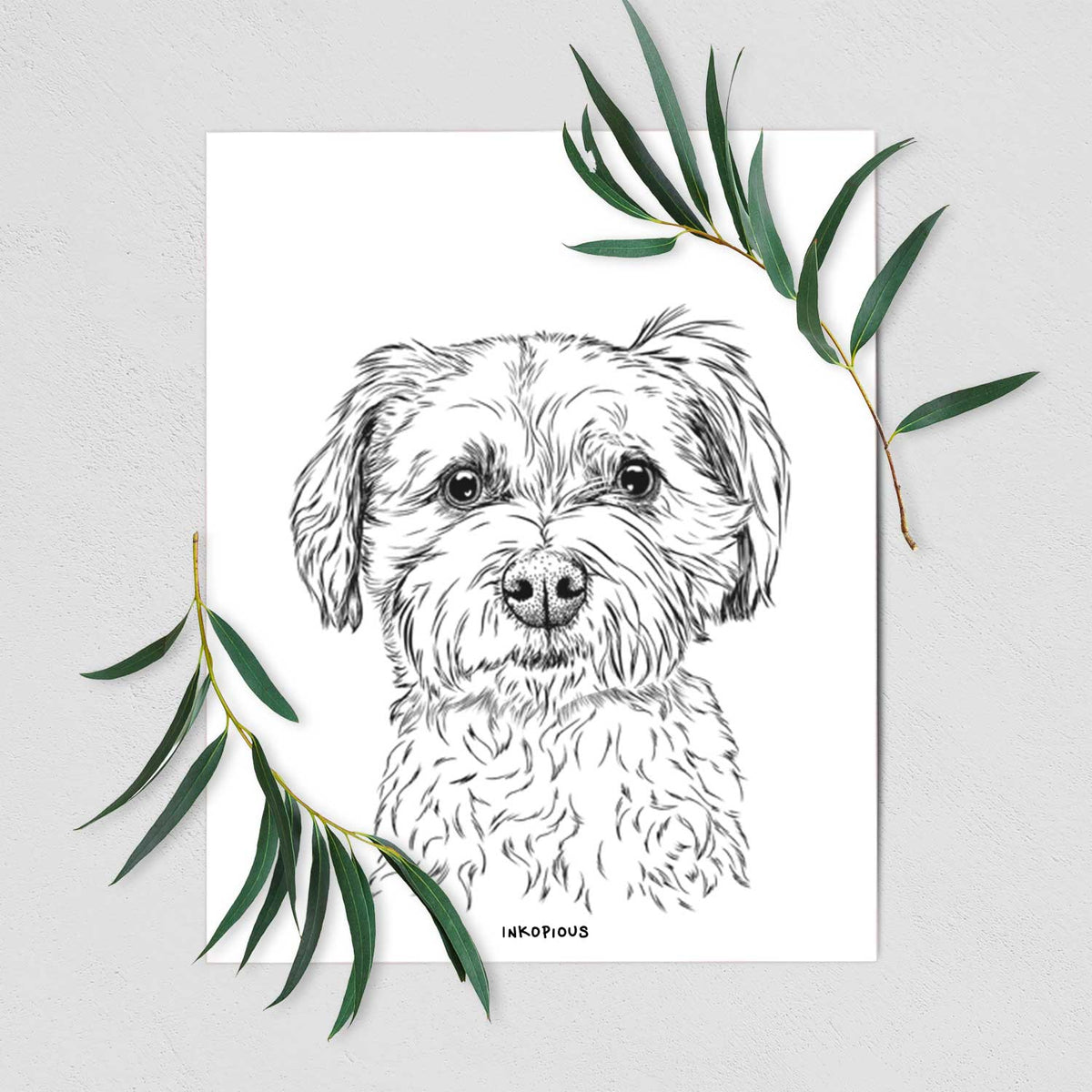 Wyatt the Coton de Tulear Art Print