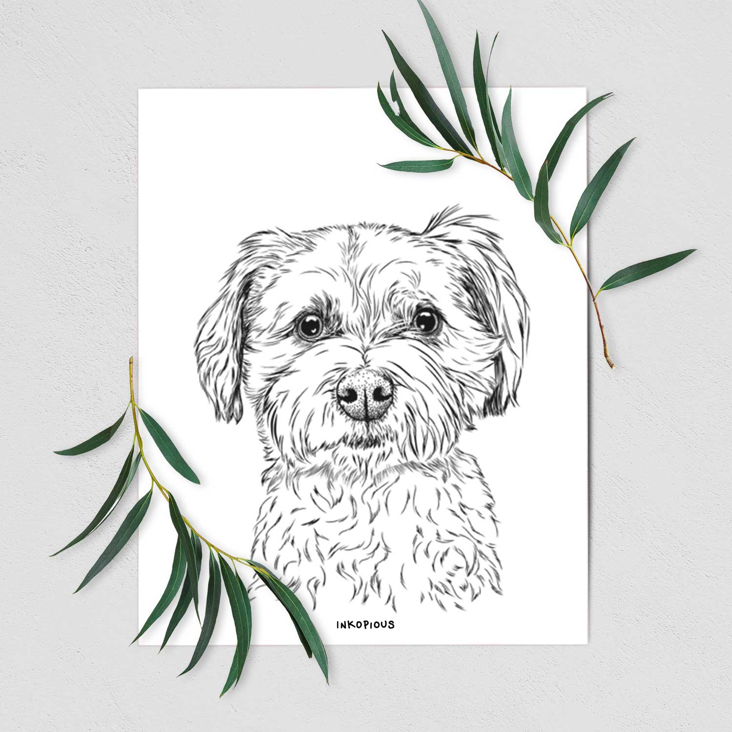 Wyatt the Coton de Tulear Art Print