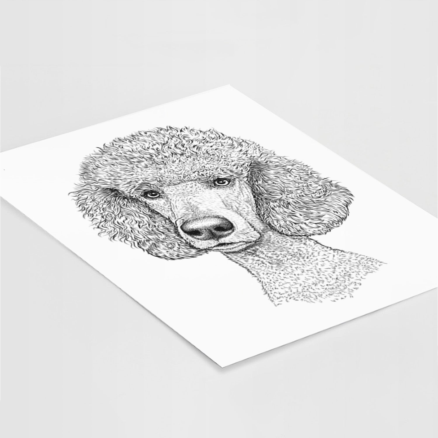 Yuki the Poodle Art Print