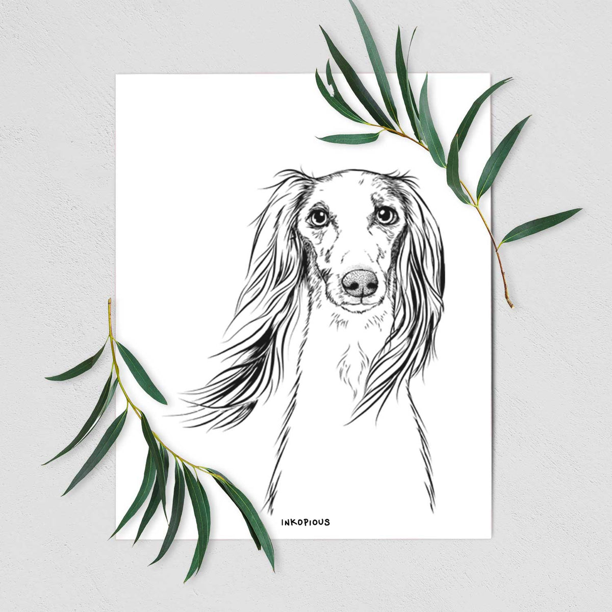 Zahra the Afghan Hound Art Print