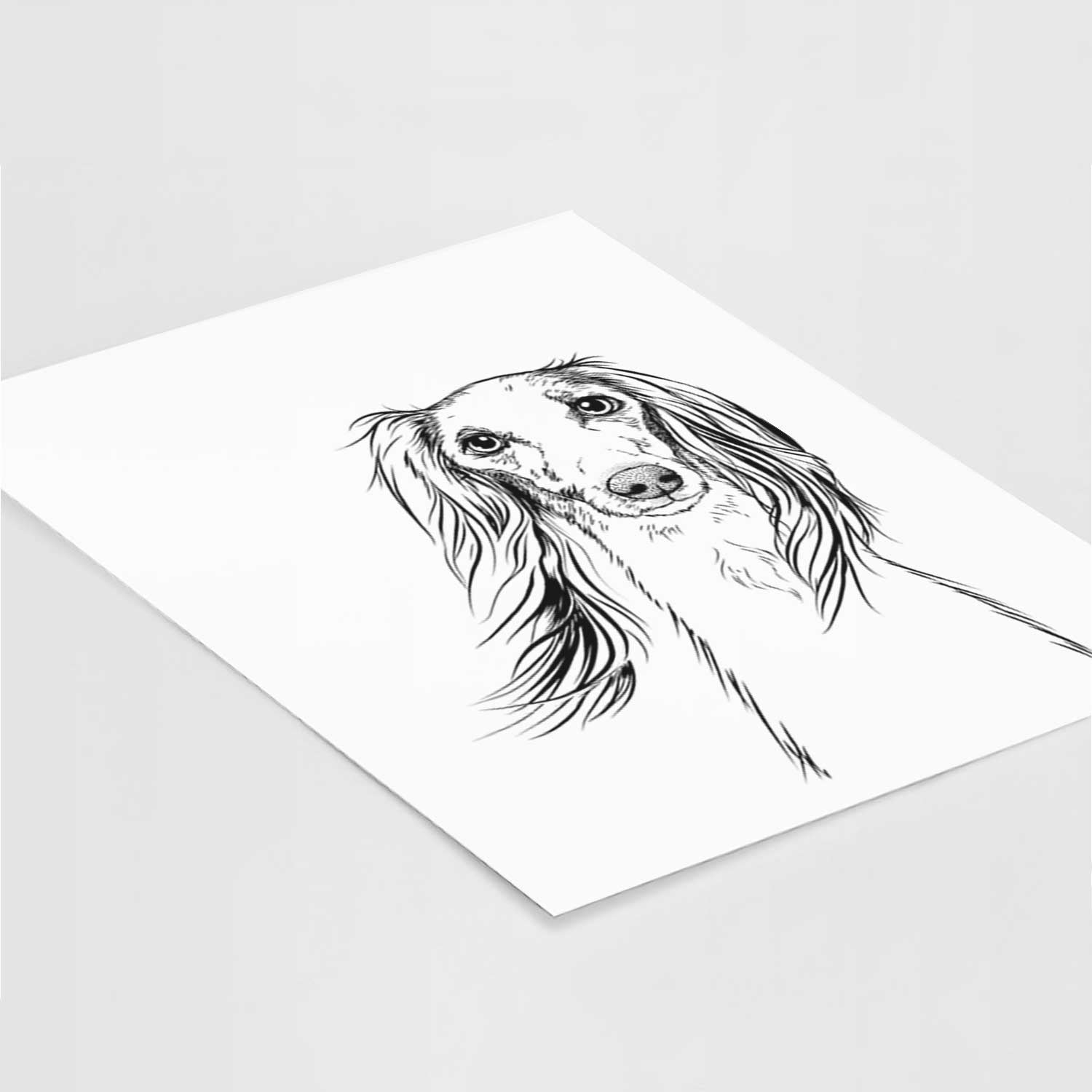 Zahra the Afghan Hound Art Print