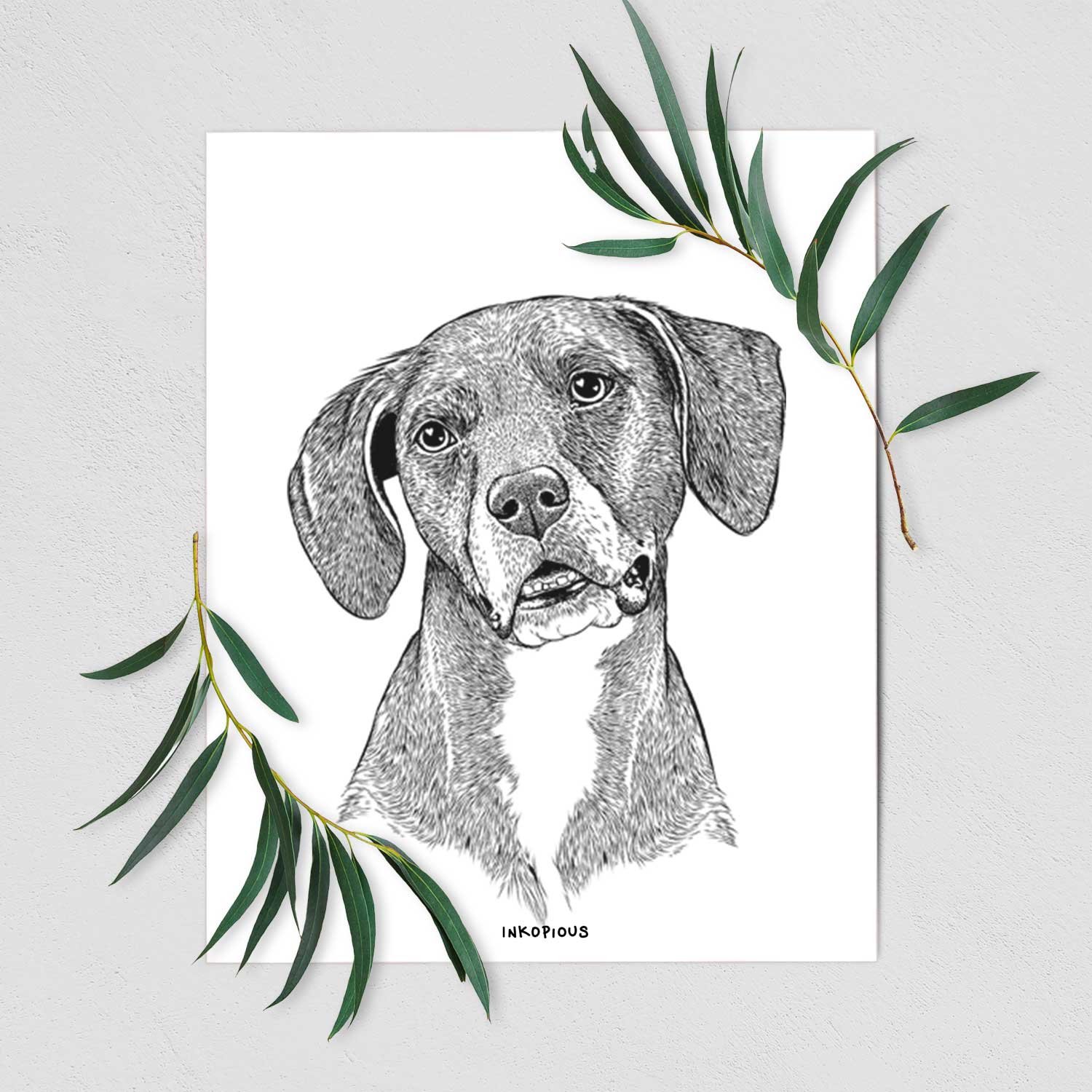 Zeena the Plott Hound Mix Art Print