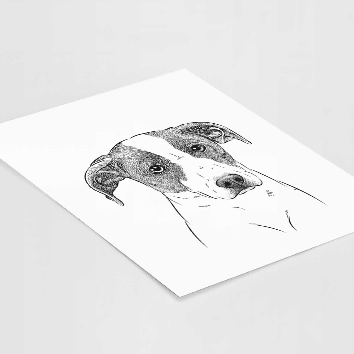 Zephyr the Pointer Mix Art Print