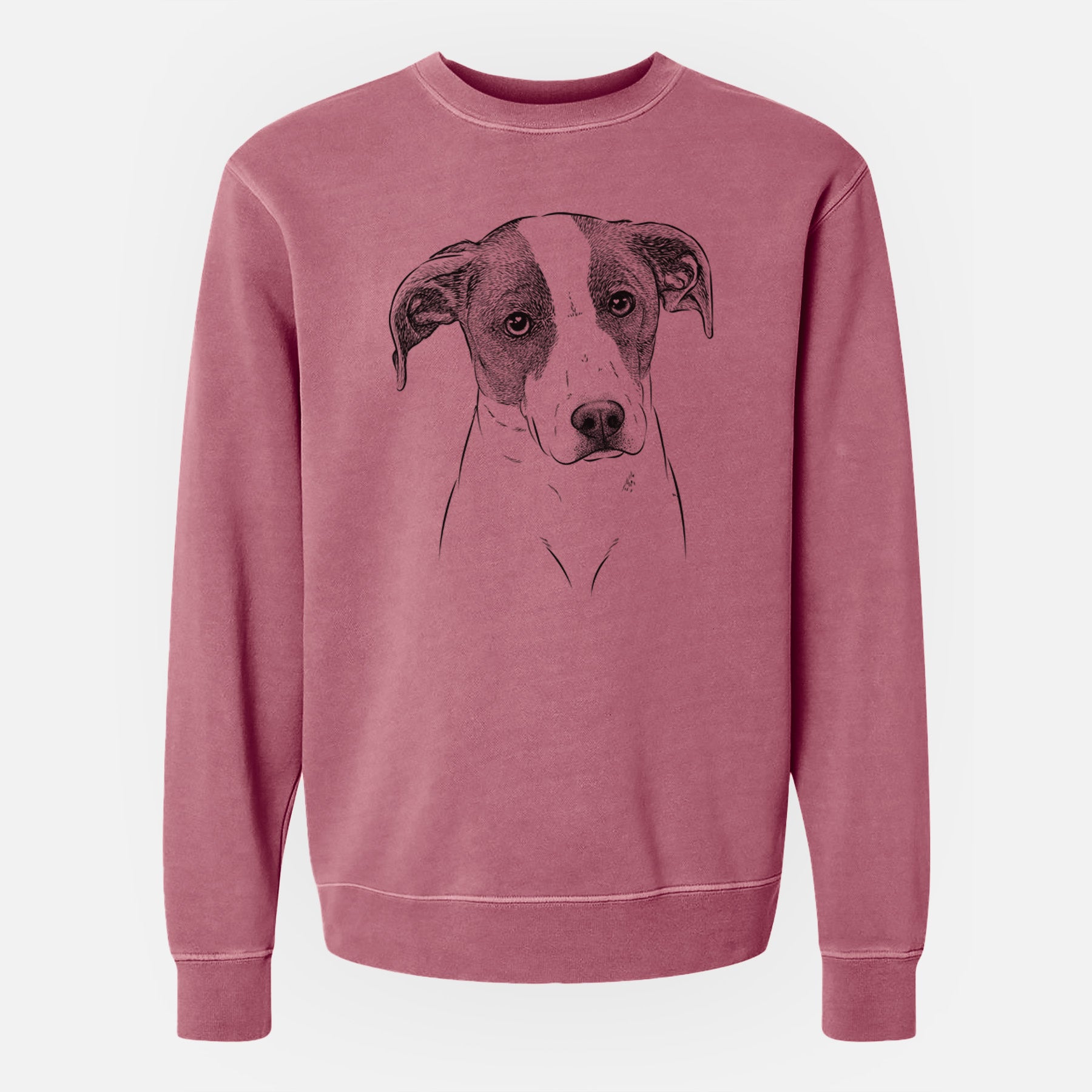 Bare Zephyr the Pointer Mix - Unisex Pigment Dyed Crew Sweatshirt