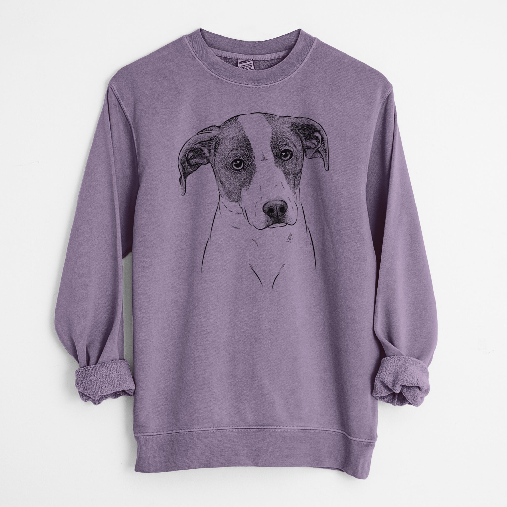 Bare Zephyr the Pointer Mix - Unisex Pigment Dyed Crew Sweatshirt