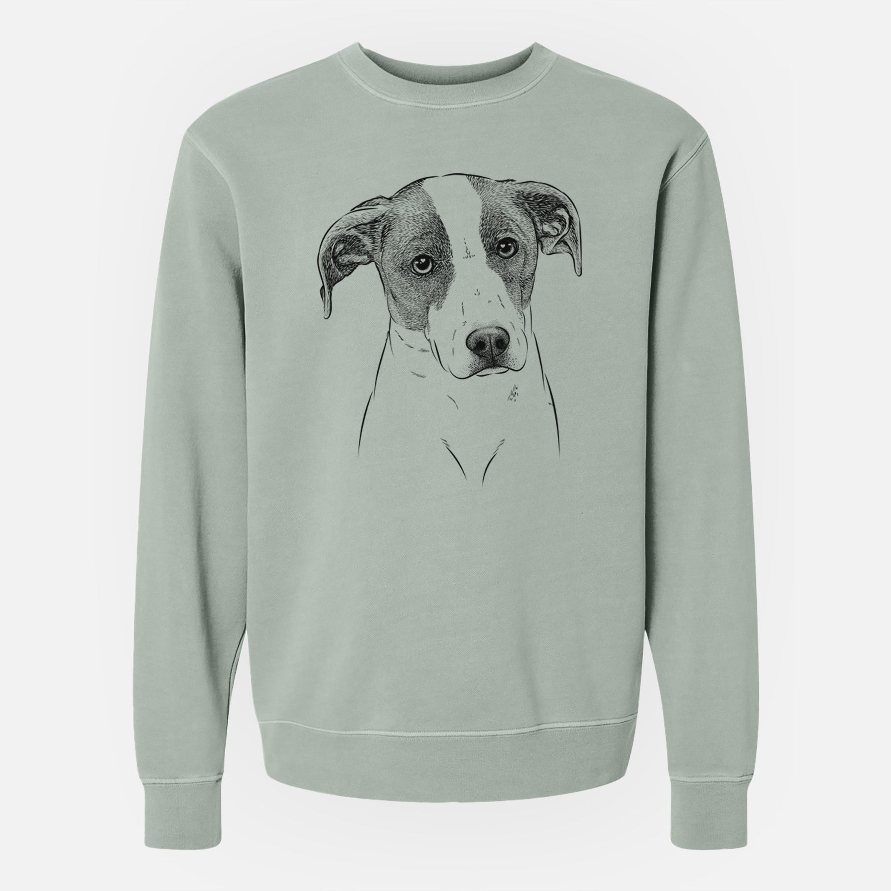 Bare Zephyr the Pointer Mix - Unisex Pigment Dyed Crew Sweatshirt