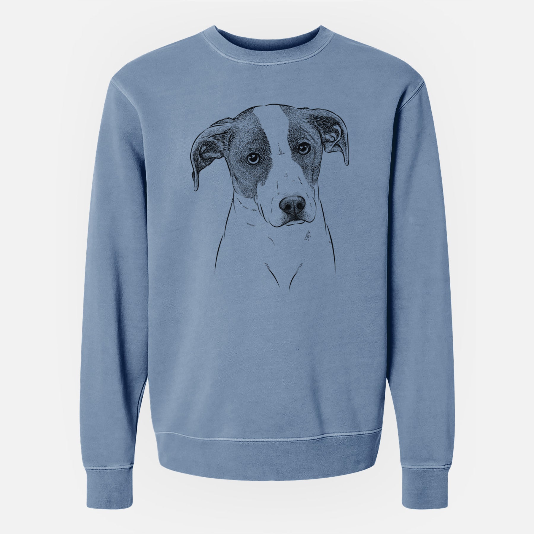 Bare Zephyr the Pointer Mix - Unisex Pigment Dyed Crew Sweatshirt