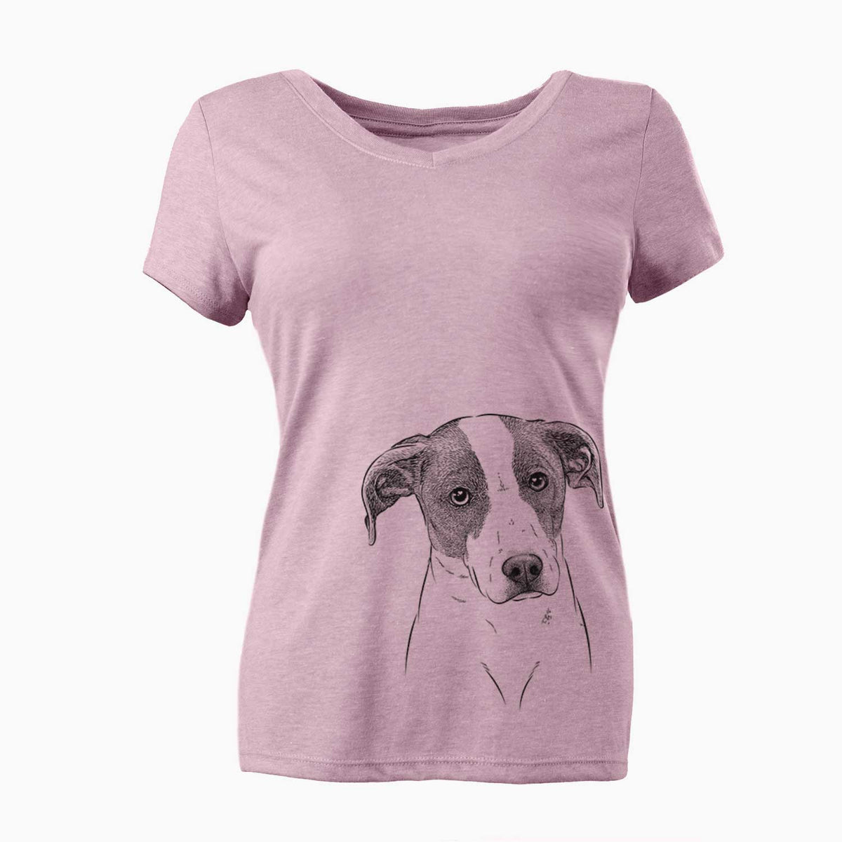 Bare Zephyr the Pointer Mix - Women's V-neck Shirt