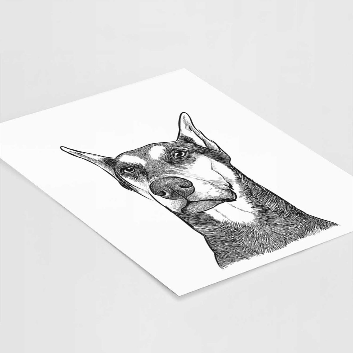 Zeus the Doberman Pinscher Art Print