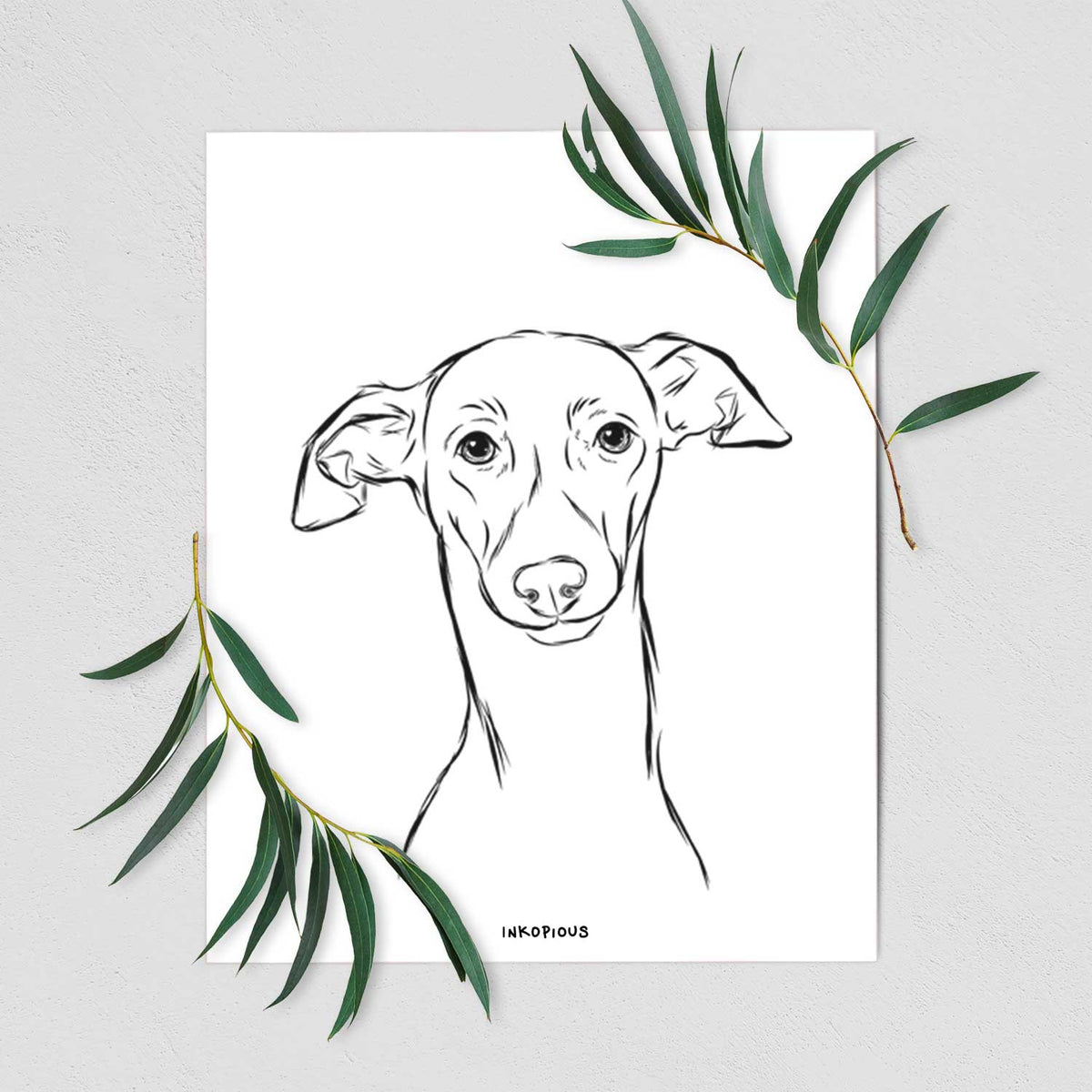 Ziggie the Italian Greyhound Art Print