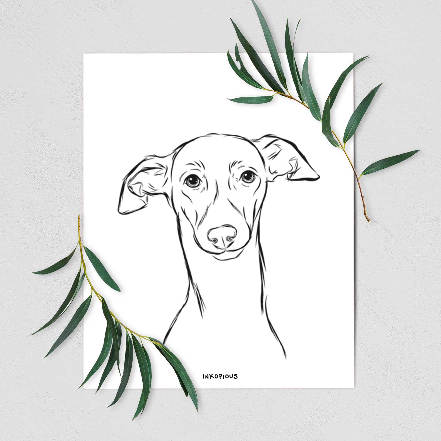 Ziggie the Italian Greyhound Art Print