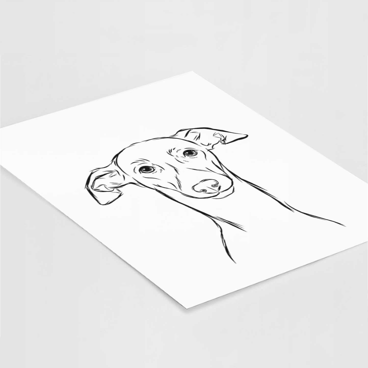 Ziggie the Italian Greyhound Art Print