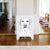 Zoe the Yellow Lab - Wall Decal