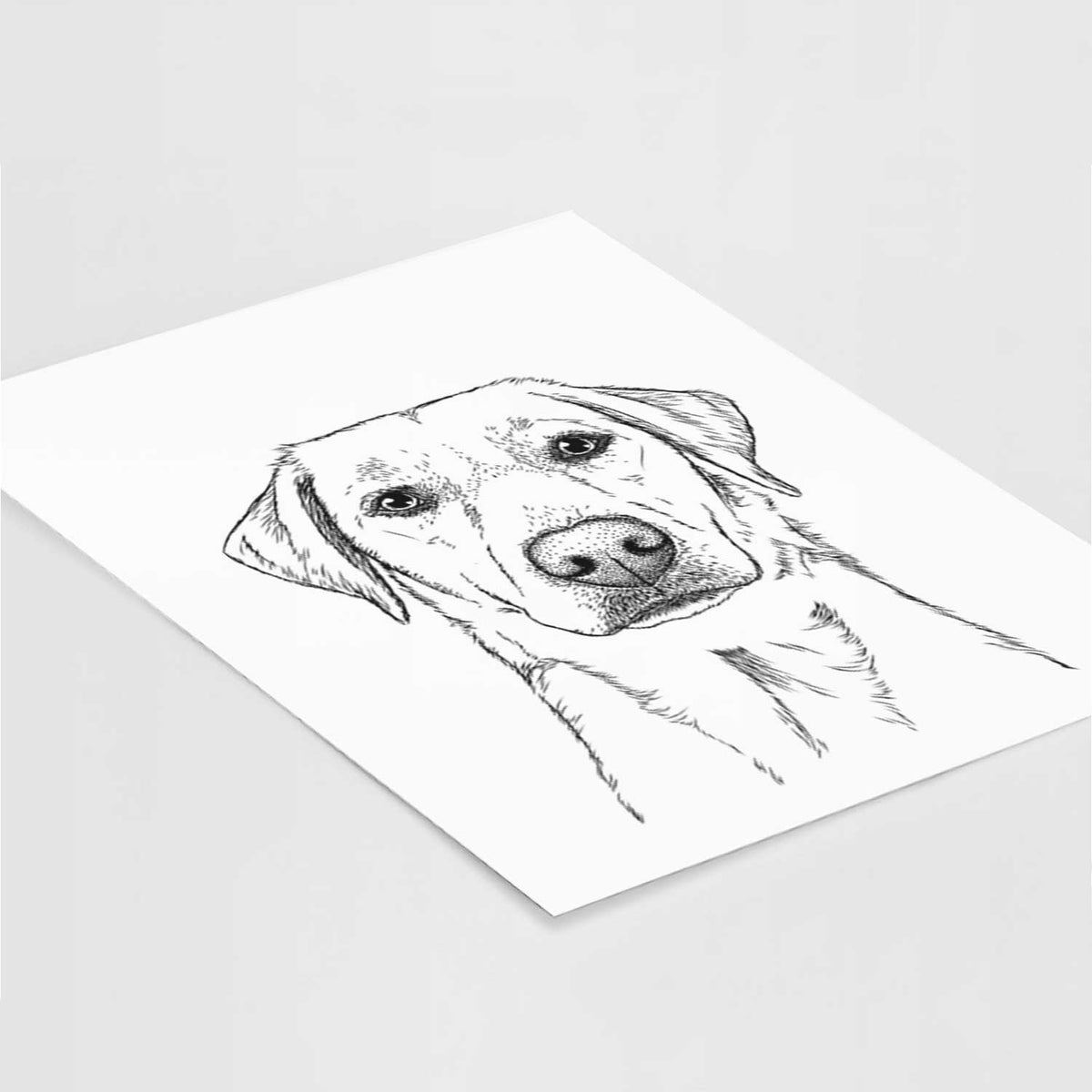 Zoe the Yellow Lab Art Print