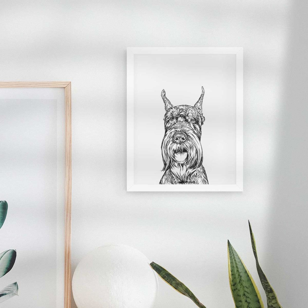 Zuri the Giant Schnauzer Art Print