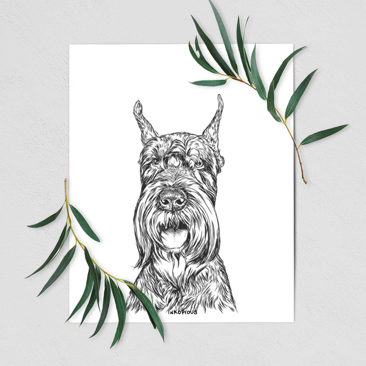 Zuri the Giant Schnauzer Art Print