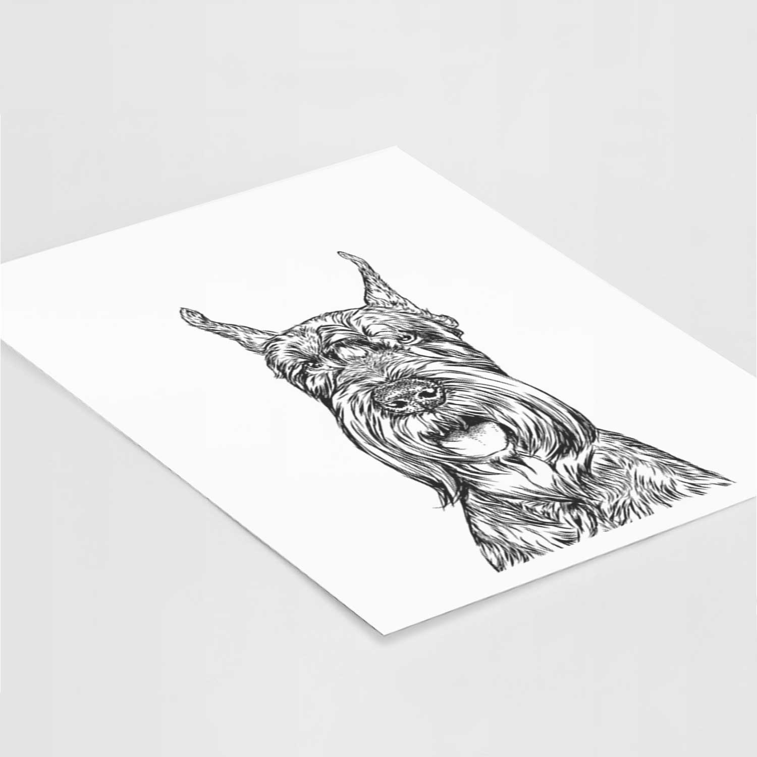 Zuri the Giant Schnauzer Art Print