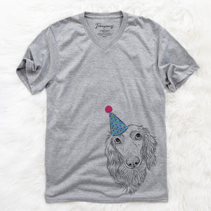 Mr. Rusty the Long Haired Dachshund  - Birthday Collection