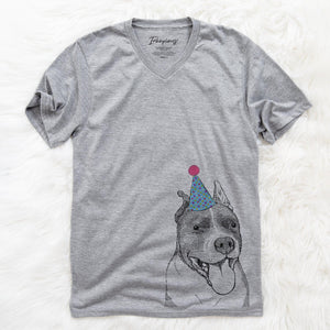 Piggy the American Staffordshire Terrier  - Birthday Collection