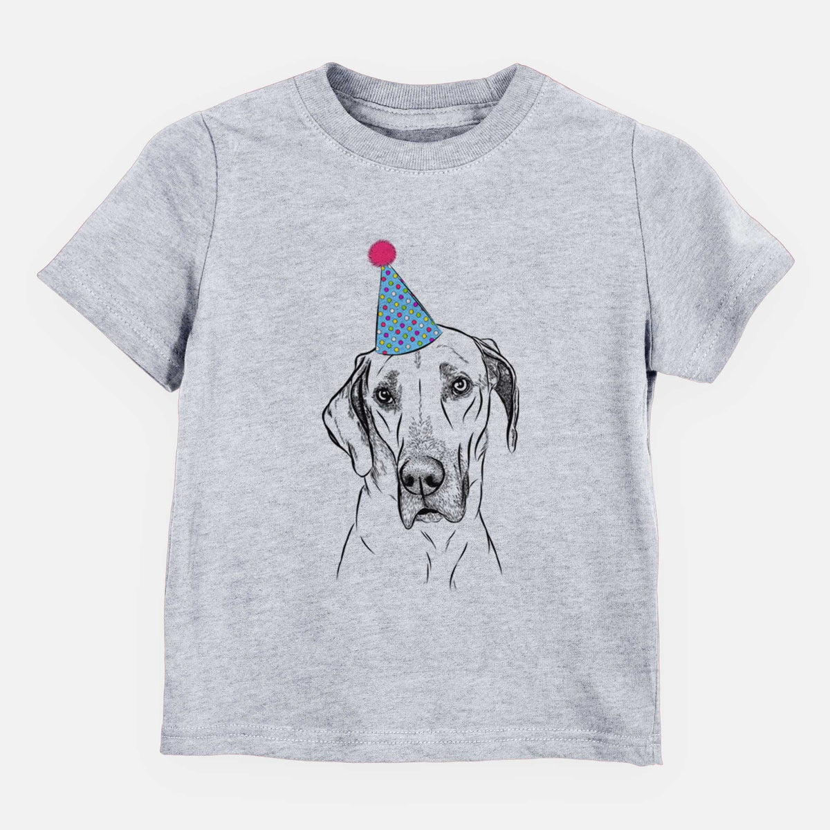 Birthday Gracie the Great Dane - Kids/Youth/Toddler Shirt