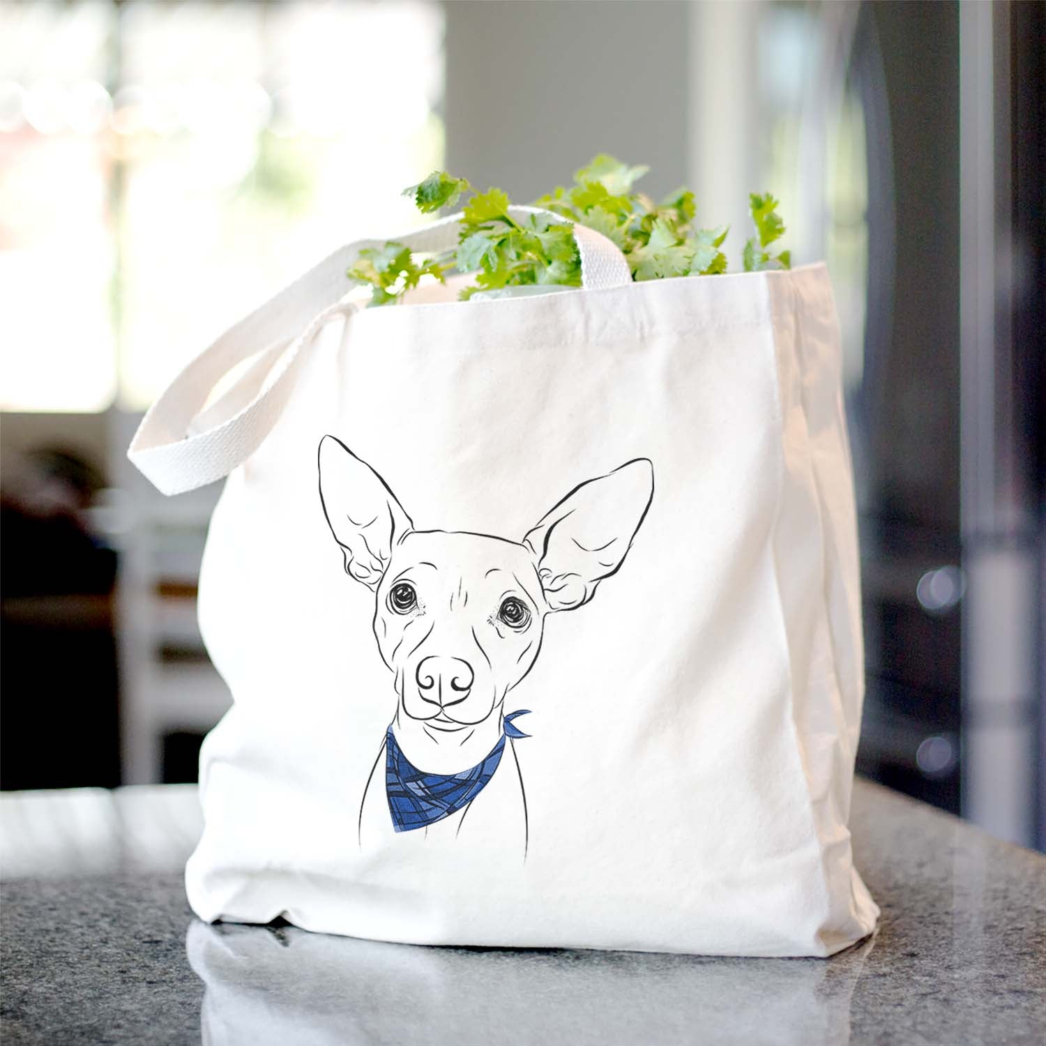 Desi the American Hairless Terrier - Tote Bag