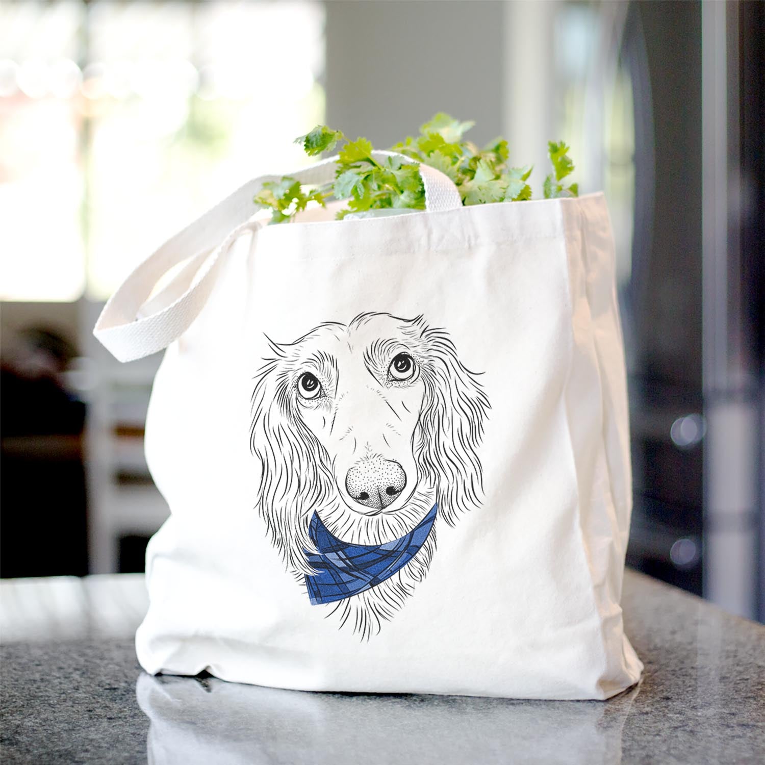 Mr. Rusty the Long Haired Dachshund - Tote Bag