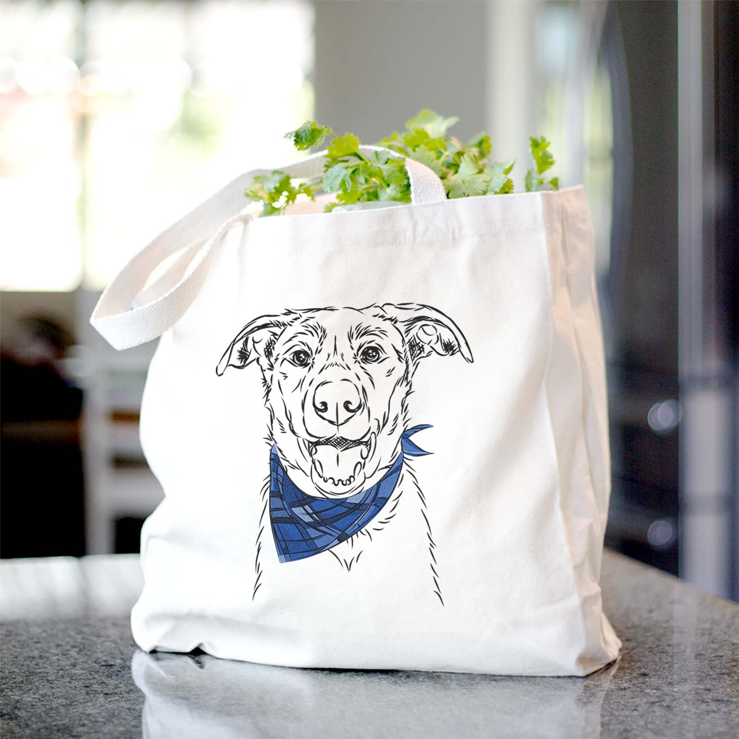 Noah the Border Collie - Tote Bag