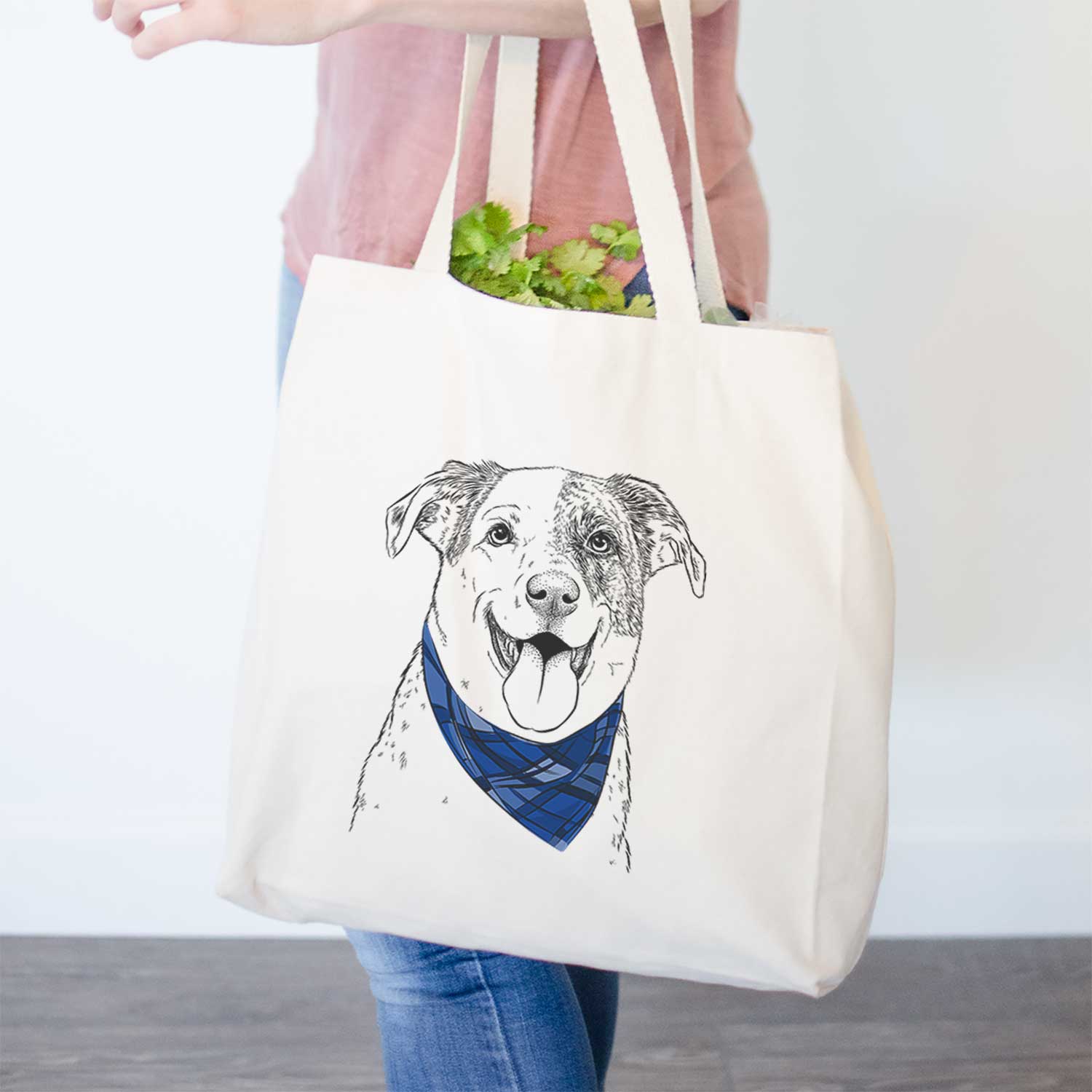 Archer the Shepherd Mix