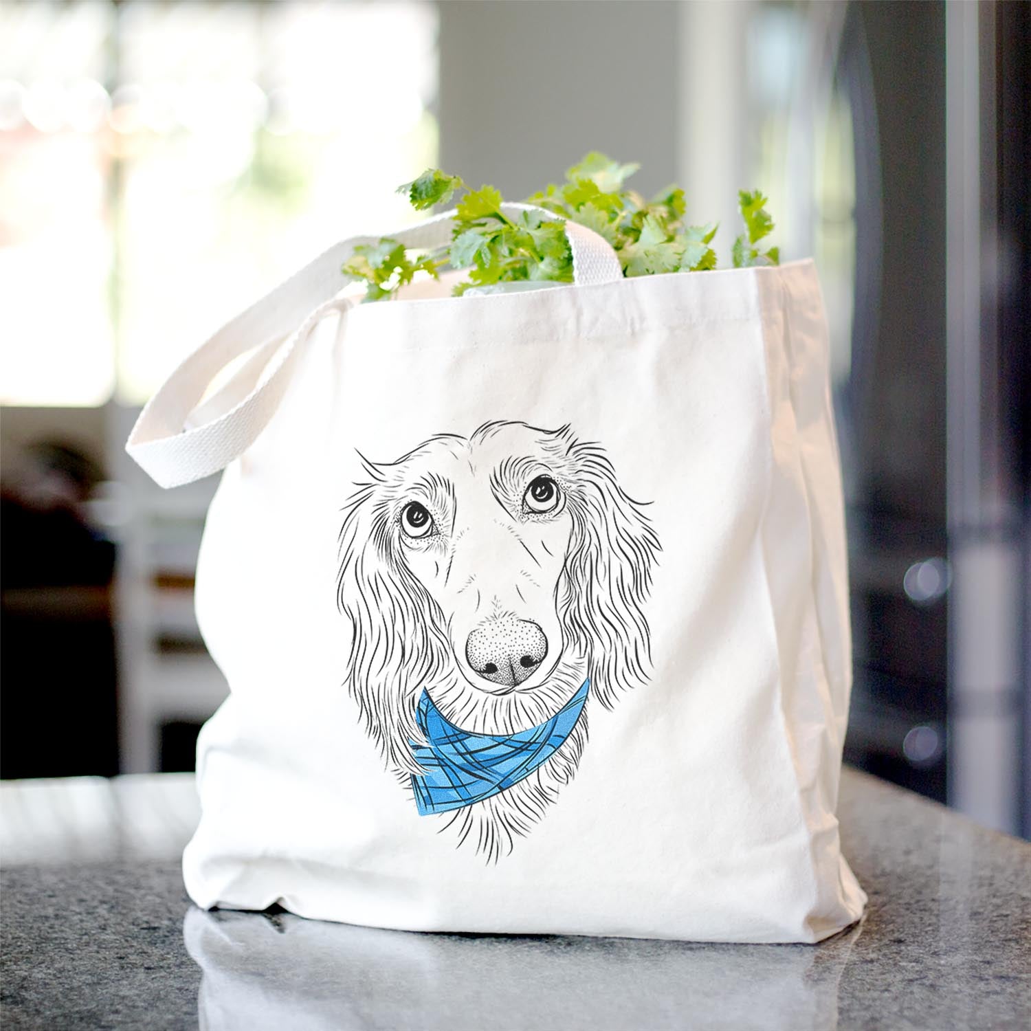 Mr. Rusty the Long Haired Dachshund - Tote Bag