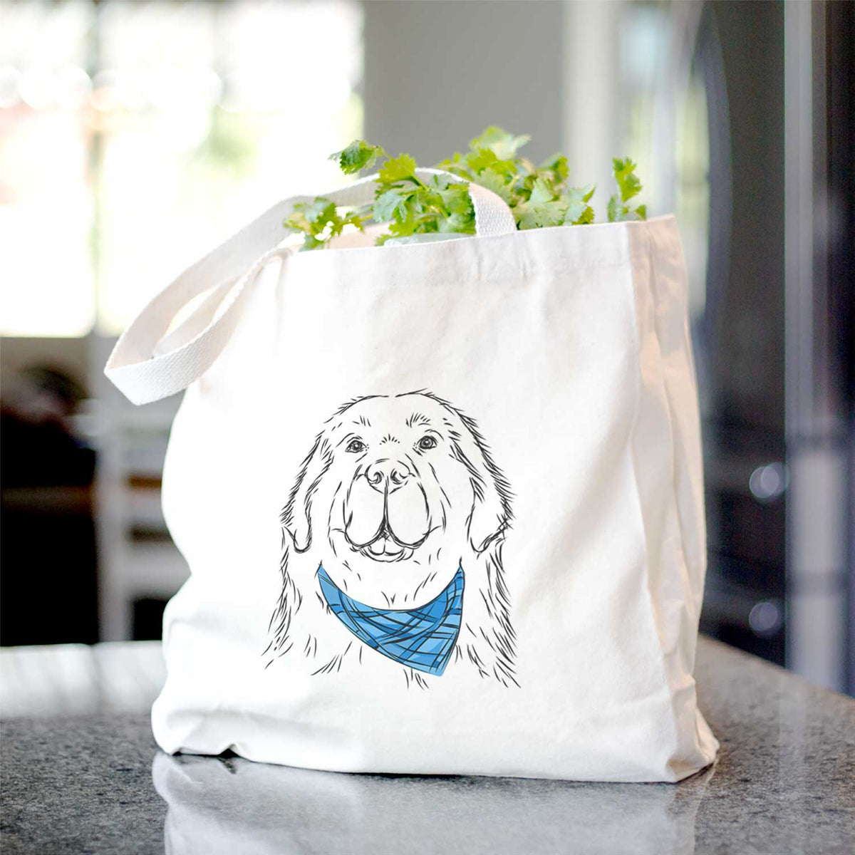 Boomer the Newfoundland - Tote Bag