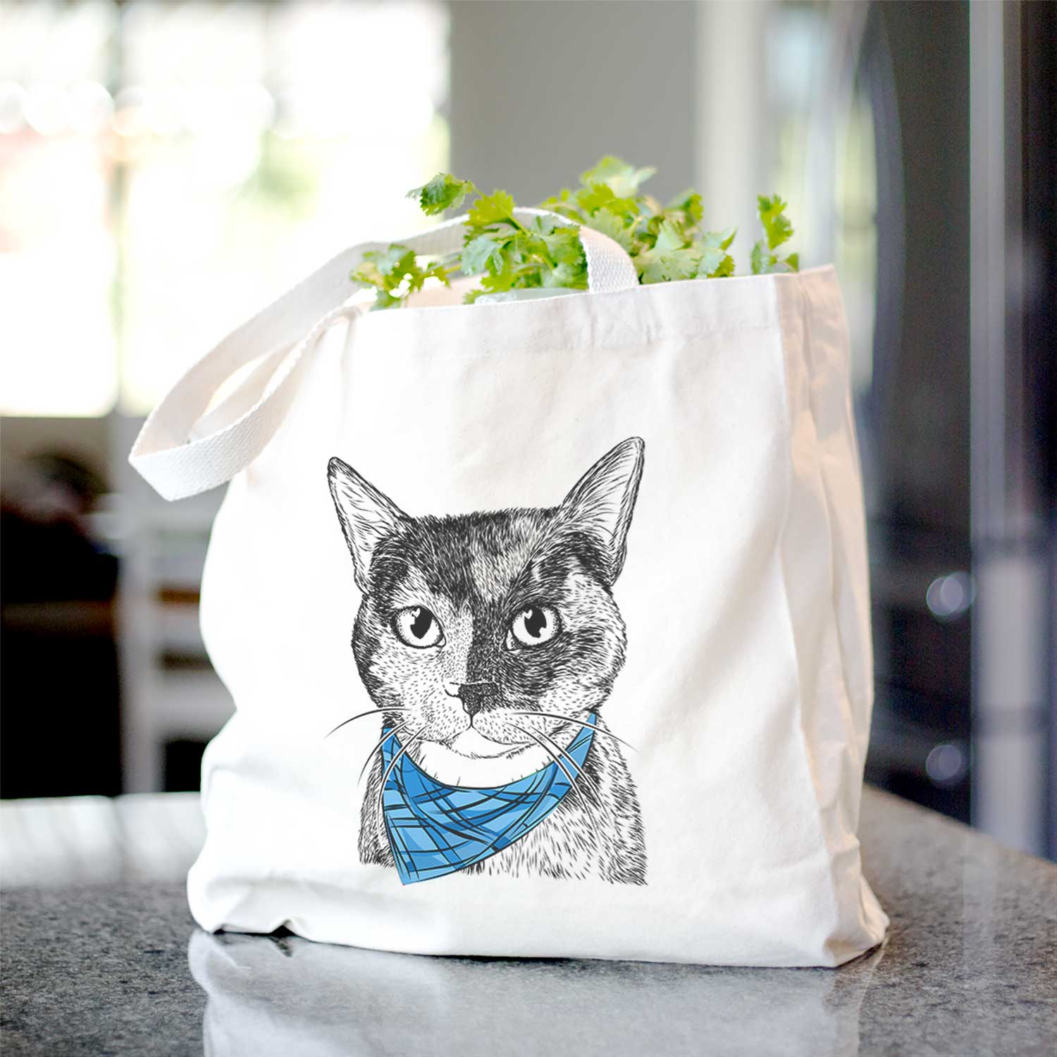 Spooky Kitty the Tortoiseshell Cat - Tote Bag