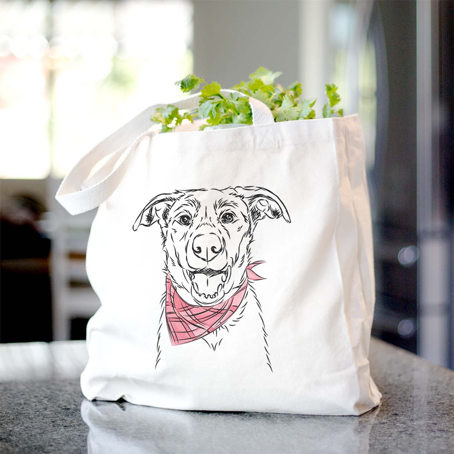 Noah the Border Collie - Tote Bag