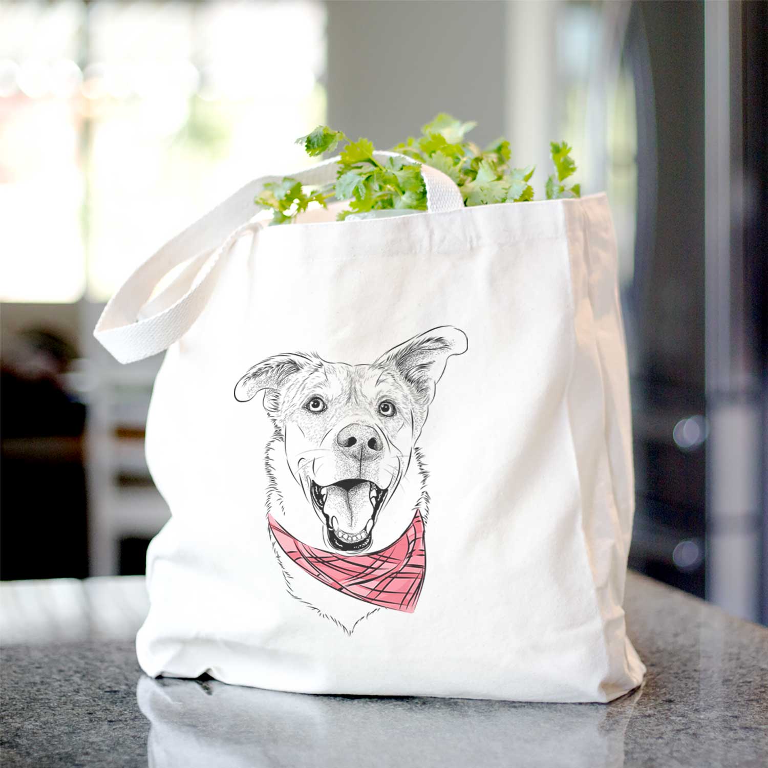 Fira the Saint Bernard Husky Mix - Tote Bag