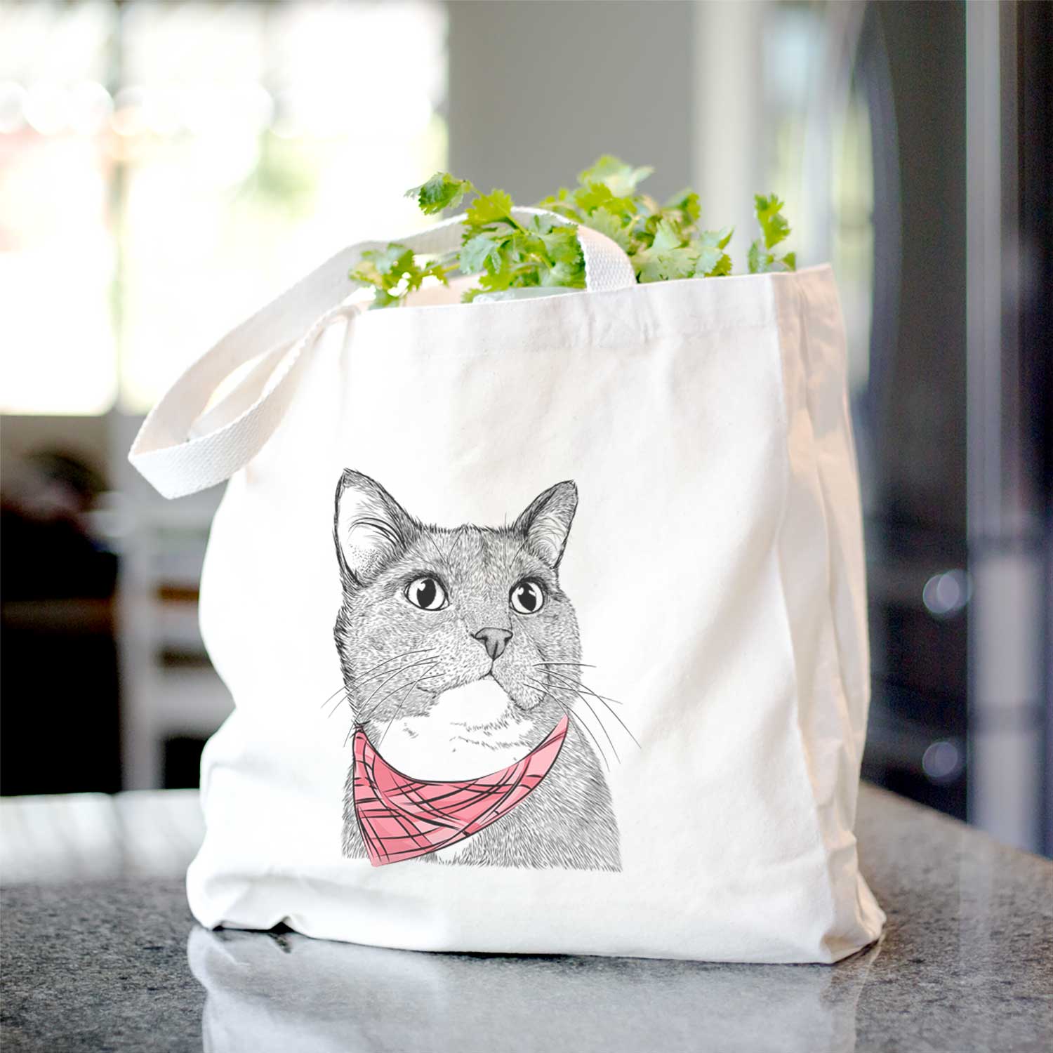 Gizmo the Grey Cat - Tote Bag