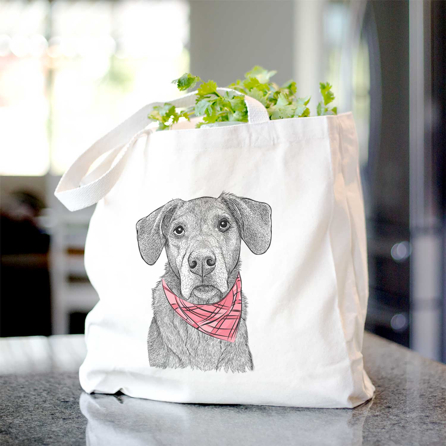 Gravy the Plott Hound Beagle Mix - Tote Bag