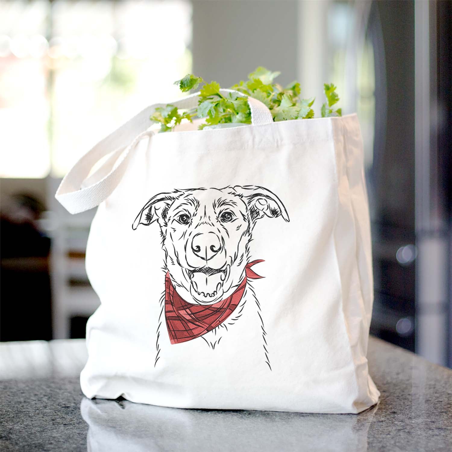 Noah the Border Collie - Tote Bag