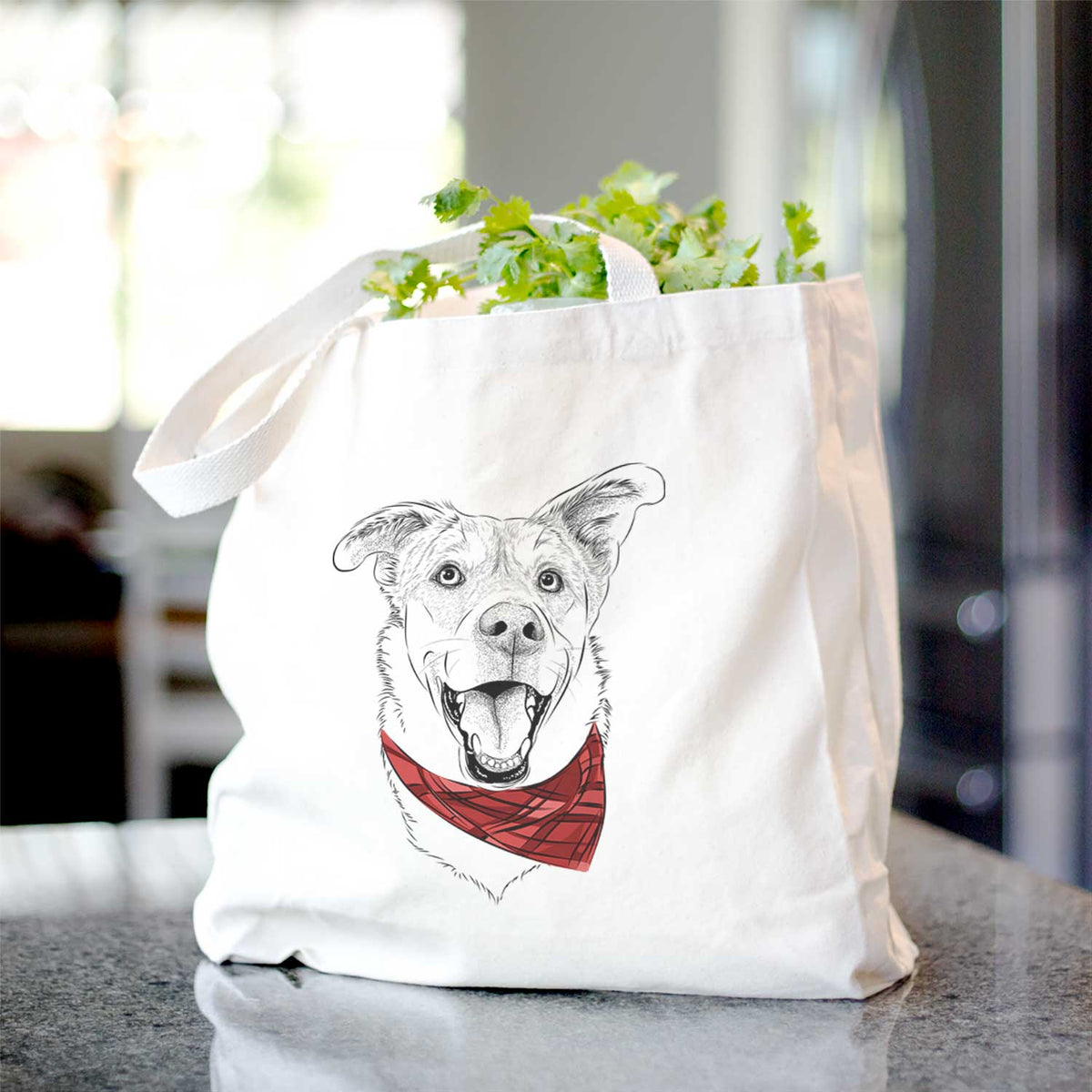 Fira the Saint Bernard Husky Mix - Tote Bag
