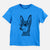 Chic Aaron the Chihuahua - Kids/Youth/Toddler Shirt