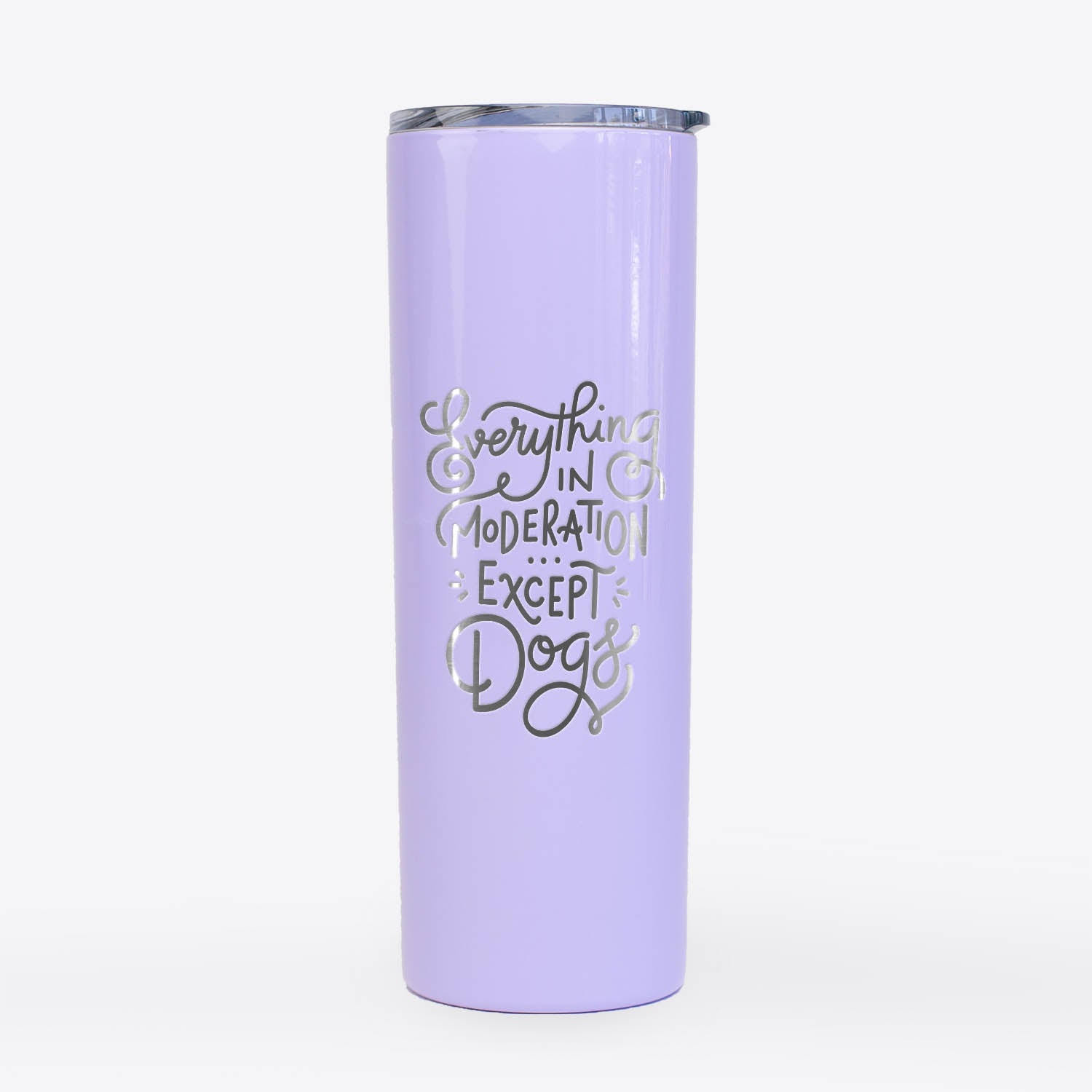 Everything in Moderation - Except Dogs  - 20oz Skinny Tumbler